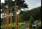 강화 조산리별장 솟대설치