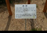 서울 대영초등학교 솟대연출^^~~~